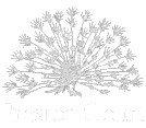 Preston Court Home